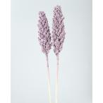  dry восток цветок индеец кукуруза 2 шт Misty лиловый 73140 dry оригинал & фрукты прочее 