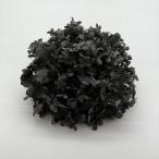  консервированный восток цветок soft .... дыра bell примерно 2.5 колесо Night черный 64324 консервированный цветок материалы для цветочной композиции гортензия 