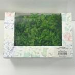  консервированный стойка mid гортензия Primelo зеленый 10001-621 консервированный цветок материалы для цветочной композиции гортензия 