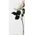 искусственный цветок Aska rose белый A-31829-1 искусственный цветок материалы для цветочной композиции [. line ] роза . покупка 