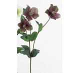 特価 造花 アスカ クリスマスローズ×3 #055G モ−ブグリ−ン A-32548-055G 造花 花材「か行」 クリスマスローズ