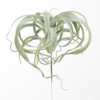 造花アスカキセログラフィカフロスト...