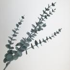  искусственный цветок Aska эвкалипт #051A зеленый A-43275-51A искусственный цветок лист предмет, искусственная зелень эвкалипт 