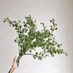  искусственный цветок Aska Heart leaf Bunch 1 пачка 3шт.@ зеленый A-43740-51A искусственный цветок лист предмет, искусственная зелень другой искусственный цветок зеленый 