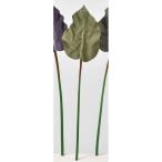  искусственный цветок Aska leaf спрей оливковый зеленый A-44218-54G искусственный цветок ветка предмет другой искусственный цветок ветка предмет . покупка 