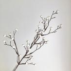  искусственный цветок Aska наан gold - ze натуральный A-48020-44 искусственный цветок лист предмет, искусственная зелень другой искусственный цветок зеленый 