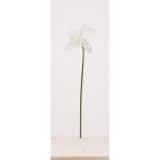 造花アスカカトレアホワイトA-34...