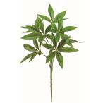  искусственный цветок Aska pakira зеленый A-44620-51A искусственный цветок лист предмет, искусственная зелень другой искусственный цветок зеленый . покупка 