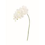 造花 アスカ コチョウラン×10 つぼみ×4 #001 ホワイト A-35409-1 造花 花材「さ行」 スイトピー