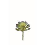  искусственный цветок Aska sa Curren тонн #053P зеленый лиловый A-44837-53P