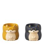 �ò� GREENHOUSE ��ȥ�쥸��ݥå� ���и�  2��ߡֳ�1�� 4791S 2�� ����ȭ ������� �����ǥ˥� ������� �ե��ݥå� ưʪ�������ȭ