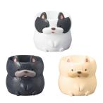 �ò� GREENHOUSE ��ȥ�쥸��ݥå� �ե����֥�ɥå�  3��ߡֳ�1�� 4792S 3�� ����ȭ ������� �����ǥ˥� ������� �ե��ݥå� ưʪ�������ȭ