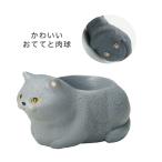 GREENHOUSE リトルレジンポット くつろぎねこ 4902 4個 植木鉢 おしゃれ ガーデニング 園芸用品 フラワーポット レジン鉢