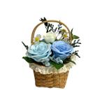  день ограничение 07 мыло цветок amour диф правило автомобиль mpetoru Anne кринолин голубой AM25CPB мыло цветок мыло цветок конечный продукт 