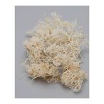  день ограничение 10 dry core trailing ta морской do волокно примерно 60g Sara si18209 10 пакет dry лист предмет Moss мох 