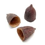  день ограничение 10 core trailing kakao отверстие половина 2 шт натуральный 19806 10 пакет dry оригинал & фрукты дерево. реальный 