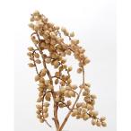  день ограничение 10 dry core trailing kane Rav ланч натуральный 30347 10 пакет dry оригинал & фрукты дерево. реальный 