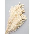  день ограничение 10 dry core trailing хлопок fi licca Sara si10364 10 пачка dry дикий цветок прочее дикий цветок 