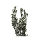  день ограничение 10 консервированный core trailing fi licca e Rico консервированный зеленый 18132 5 пачка прочее консервированный цветок материалы для цветочной композиции 