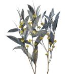  день ограничение 10 dry core trailing эвкалипт реальный есть PSD черный 10368 10 пачка dry лист предмет лист предмет 