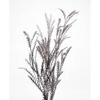  день ограничение 10 консервированный core trailing серый bi редкость Aiba n four консервированный балка gun ti10401 10 пачка консервированный зеленый лист предмет 