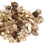  день ограничение 10 dry core trailing можжевельник обыкновенный ассортимент Gold 30229 dry оригинал & фрукты дерево. реальный 