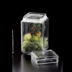 ガラス スクエア 花瓶 通販 価格比較 価格 Com