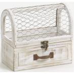 日限定07SGWonderzone...