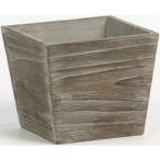 ������07 �ò� SG Wonder zone ������������ƥ������ѥ�ȭ������ 738-40DE ����ȭ ������� �����ǥ˥� ������� �ե��ݥå� ����ȭ