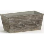 ������07 �ò� SG Wonder zone ������������ƥ�������ĹϢȭ������ 738-40WE ����ȭ ������� �����ǥ˥� ������� �ե��ݥå� ����ȭ