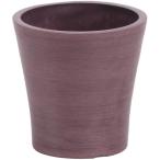  день ограничение 07 SG Wonder zone SP eko pot φ12 лиловый 132-150011-22 ваза для цветов ваза пластик акрил ваза для цветов 