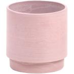  день ограничение 07 SG Wonder zone SP eko pot старт  King φ10 розовый 150-004P ваза для цветов ваза пластик акрил ваза для цветов 