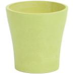  день ограничение 07 SG Wonder zone SP eko pot φ12 lime зеленый 132-150011-27 ваза для цветов ваза пластик акрил ваза для цветов 