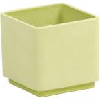  день ограничение 07 SG Wonder zone SP eko pot Cube lime зеленый 150-038LG ваза для цветов ваза пластик акрил ваза для цветов 