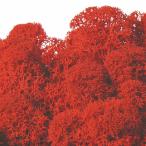  консервированный поток ru ever nordic Moss примерно 500g красный FL821-830 консервированный зеленый Moss мох 
