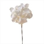 プリザーブド フロールエバー アンデスアジサイＷ ＳＰ パールホワイト FLPP6291-01 プリザーブドフラワー花材 アジサイ