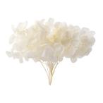  консервированный поток ru ever дыра bell SP примерно 1g натуральный FL600296-910 консервированный цветок материалы для цветочной композиции гортензия 