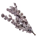  консервированный поток ru ever эвкалипт круг лист красный FL7091-830 консервированный зеленый лист предмет 