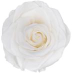  консервированный поток ru ever premium rose вынос руля есть рукав ввод 6шт.@ жемчужно-белый FL095-01 консервированный цветок материалы для цветочной композиции роза rose 