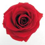  консервированный поток ru ever premium rose вынос руля есть рукав ввод 6шт.@ Cherry красный FL095-05 консервированный цветок материалы для цветочной композиции роза rose 