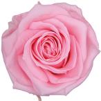  консервированный поток ru ever premium rose вынос руля есть рукав ввод 6шт.@ Bay Be розовый FL095-07 консервированный цветок материалы для цветочной композиции роза rose 