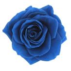  консервированный поток ru ever premium rose вынос руля есть рукав ввод 6шт.@ gran голубой FL095-12 консервированный цветок материалы для цветочной композиции роза rose 