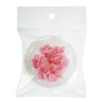  день ограничение 07 консервированный поток ru ever +FLOWER микро гвоздика 6P Bay Be розовый FLS14006-07 консервированный цветок материалы для цветочной композиции гвоздика 