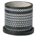 ͧ�� �ե졼����ݥå�B ������  TD216 ����ȭ ������� �����ǥ˥� ������� �ե��ݥå� �ƥ饳�å� �ǾƤ�