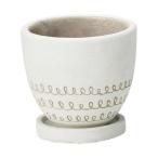 ͧ�� ����֥��䡼���ݥåȣͣ� ������  TD256 ����ȭ ������� �����ǥ˥� ������� �ե��ݥå� ƫ�� ����ߥå�ȭ