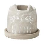 ͧ�� ����åȥ��꡼���� ������  TD271 ����ȭ ������� �����ǥ˥� ������� �ե��ݥå� ƫ�� ����ߥå�ȭ