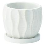 ͧ�� �٥�ɥ�������ͣ� ������  TD239 ����ȭ ������� �����ǥ˥� ������� �ե��ݥå� ƫ�� ����ߥå�ȭ