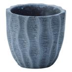 ͧ�� �٥�ɥ�������ӣ� TD242 2�� ����ȭ ������� �����ǥ˥� ������� �ե��ݥå� ƫ�� ����ߥå�ȭ