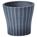 ͧ�� �쥤�桼��ݥåȣͣ� AM223 ����ȭ ������� �����ǥ˥� ������� �ե��ݥå� ��������ȭ