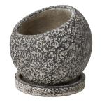 ͧ�� ���饤�楪�֥�å��ӣ� ������  TD337 ����ȭ ������� �����ǥ˥� ������� �ե��ݥå� ������ȭ